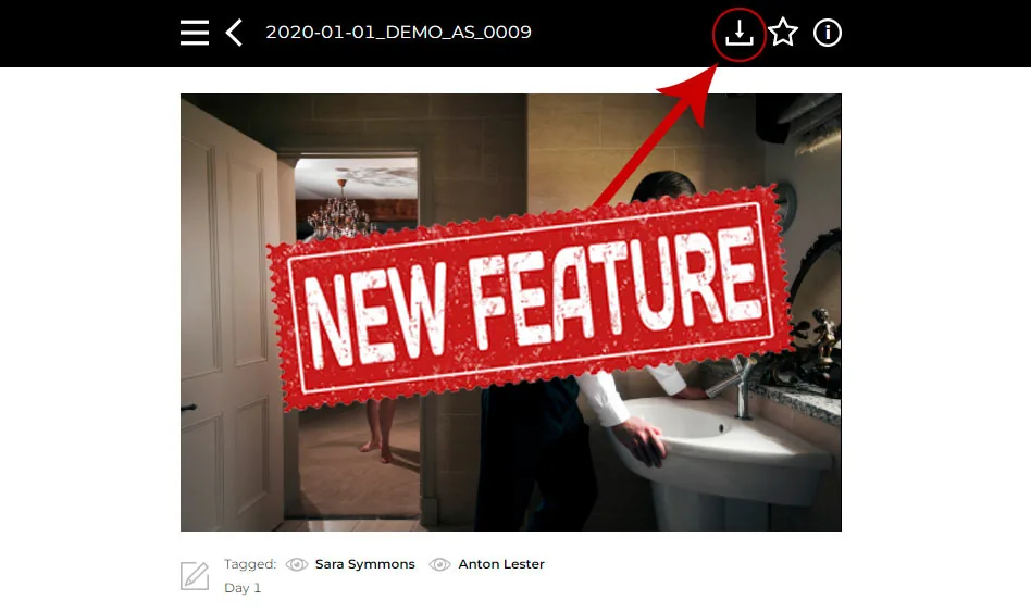 A new download feature on Image Approvals showing per-user download permissions