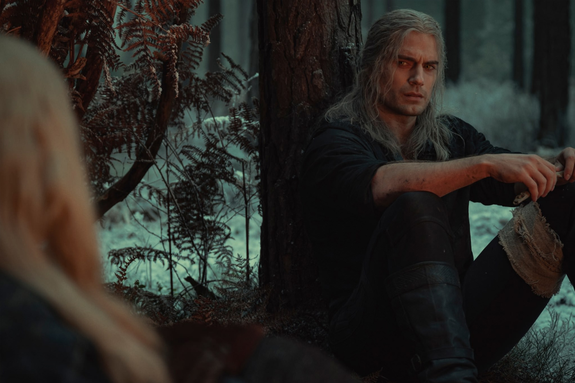 A scene from "The Witcher" showing Henry Cavill as Geralt of Rivia sitting against a tree in a misty forest, dressed in black with long white hair and a weathered expression. Ferns and snow-dusted undergrowth frame the setting.